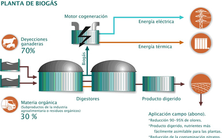 planta-de-biogas